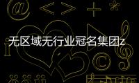 無區域無行業冠名集團z注冊