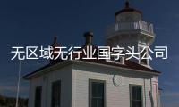 無區域無行業國字頭公司轉讓