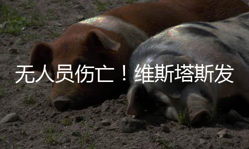 無人員傷亡！維斯塔斯發(fā)生風(fēng)電倒塔事故！