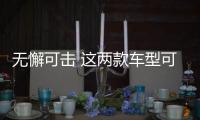 無懈可擊 這兩款車型可謂這一級別的明星