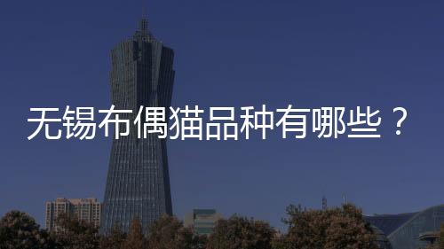 無錫布偶貓品種有哪些？無錫布偶貓品種大全
