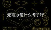 無霜冰箱什么牌子好