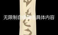 無限制自由搏擊具體內容是什么?