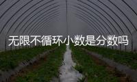 無限不循環小數是分數嗎（無限不循環小數）