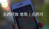 無藥可救 意思（無藥可救的意思）