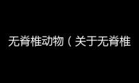 無脊椎動物（關于無脊椎動物的基本情況說明介紹）