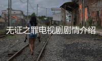 無證之罪電視劇劇情介紹（無證之罪 電視劇）