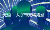 無語！ 女子帶寵物豬坐火車被攔
