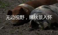 無邊視野，擁秋景入懷