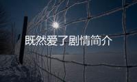 既然愛了劇情簡介