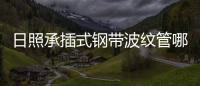 日照承插式鋼帶波紋管哪家好