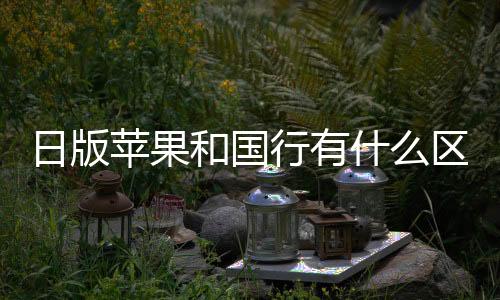 日版蘋果和國行有什么區別xs max（日版蘋果和國行有什么區別）