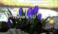 日產Navara SUV諜照 基于皮卡底盤