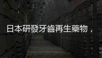日本研發牙齒再生藥物，明年臨床實驗目標 2030 年上市