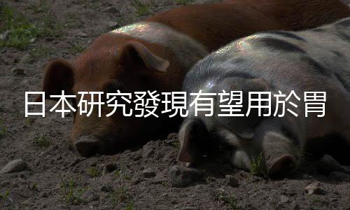 日本研究發現有望用於胃癌治療的新標靶