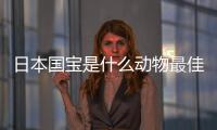 日本國(guó)寶是什么動(dòng)物最佳答案視頻（日本國(guó)寶是什么動(dòng)物）