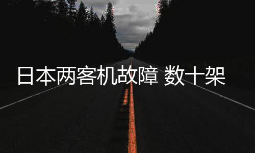 日本兩客機(jī)故障 數(shù)十架次航班被取消 影響千名旅客