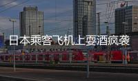 日本乘客飛機上耍酒瘋襲空姐 日網友:臉都丟盡了