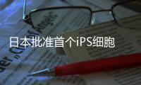 日本批準首個iPS細胞治脊髓損傷臨床試驗
