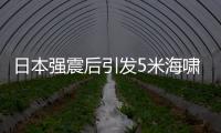 日本強震后引發(fā)5米海嘯，第一波海嘯滾滾襲來