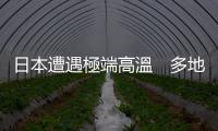日本遭遇極端高溫　多地發布「中暑警報」