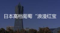 日本高檔葡萄“浪漫紅寶石”拍出7.3萬(wàn)元 每顆葡萄約2703元人民幣