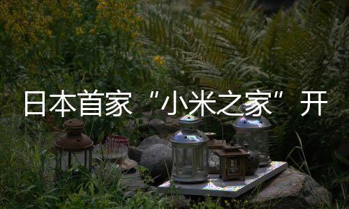 日本首家“小米之家”開業，現場人氣火爆