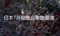 日本7月破產企業數量達920家　較去年同期增加291家