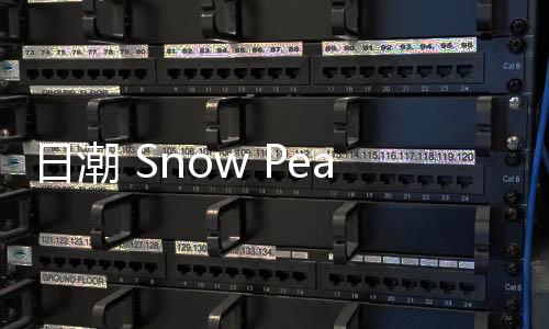 日潮 Snow Peak 全新特強耐熱物料 TAKIBI 系列上架發售