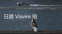 日潮 Visvim 招牌鞋款 Roland Jogger 全新 Lhamo 版本上架
