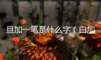 旦加一筆是什么字（白加一筆是什么字）