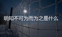 明知不可為而為之是什么意思 明知不可為而為之到底是什么意思
