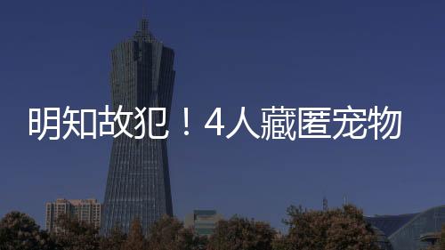 明知故犯！4人藏匿寵物帶入熊貓基地，終身禁入！
