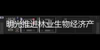 明光推進林業(yè)生物經(jīng)濟產(chǎn)業(yè)園建設_