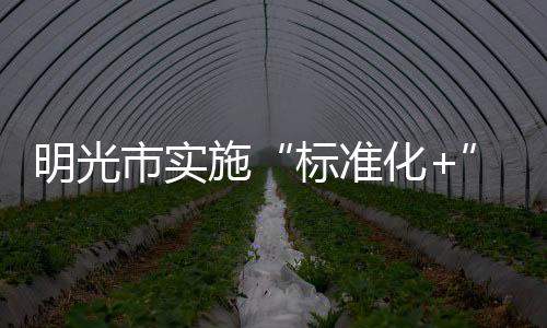 明光市實(shí)施“標(biāo)準(zhǔn)化+”助推經(jīng)濟(jì)發(fā)展_