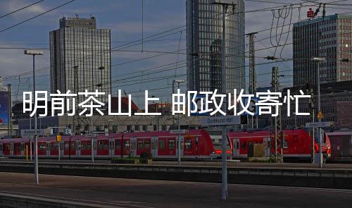 明前茶山上 郵政收寄忙