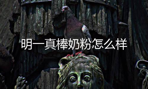 明一真棒奶粉怎么樣