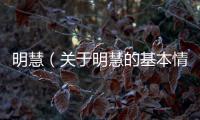 明慧（關于明慧的基本情況說明介紹）