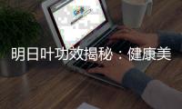 明日葉功效揭秘：健康美食攻略大公開！