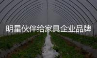 明星伙伴給家具企業品牌建設的啟示