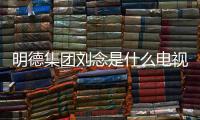 明德集團劉念是什么電視劇