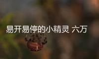 易開易停的小精靈 六萬內五款微型電動車