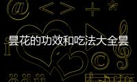 曇花的功效和吃法大全曇花有那些吃法,怎樣吃才有營養
