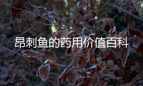 昂刺魚的藥用價值百科