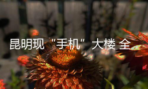 昆明現“手機”大樓 全國最丑建筑又添一員（組圖）
