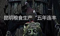 昆明糧食生產“五年連豐”