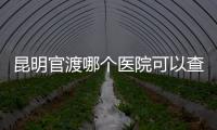 昆明官渡哪個醫(yī)院可以查精子別沒數(shù)，哪家好誤差低是關(guān)鍵