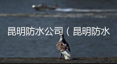 昆明防水公司（昆明防水）