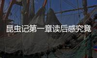 昆蟲記第一章讀后感究竟什么原因?