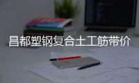 昌都塑鋼復合土工筋帶價格